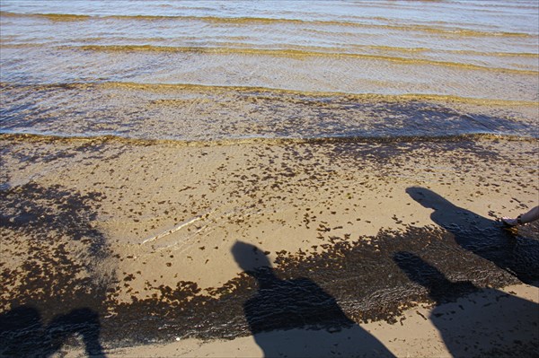 036-Дзинтари, пляж